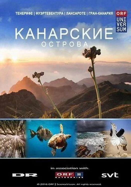 Постер фильма Канарские острова