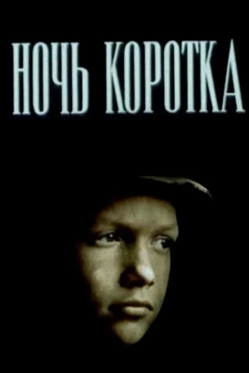 Постер фильма Ночь коротка