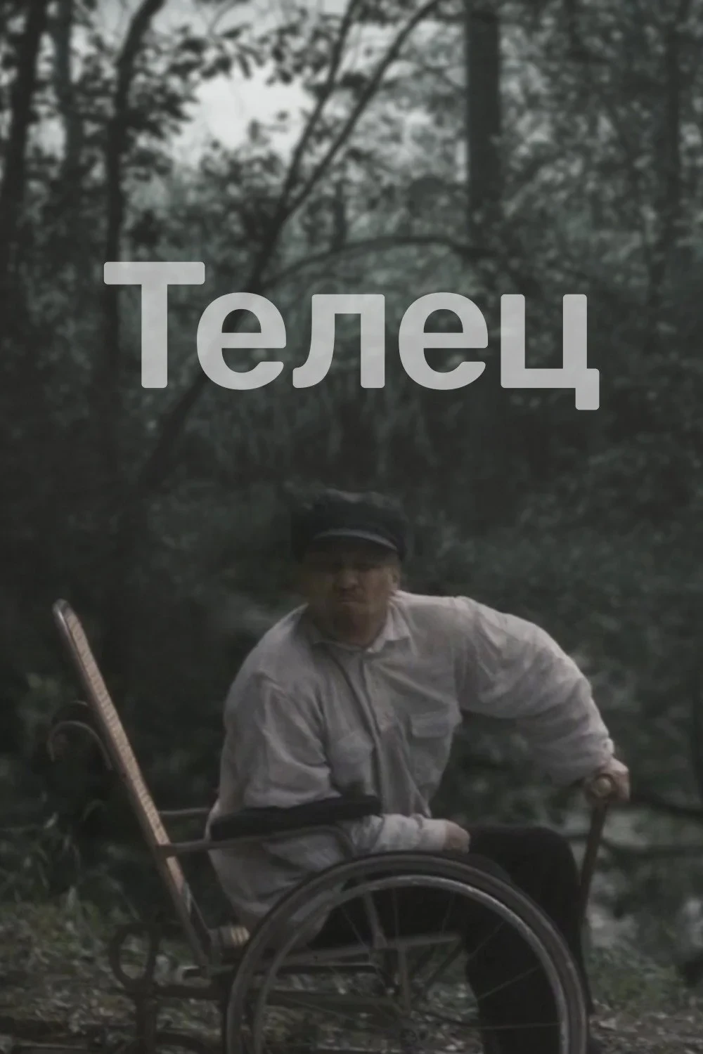 Постер фильма Телец