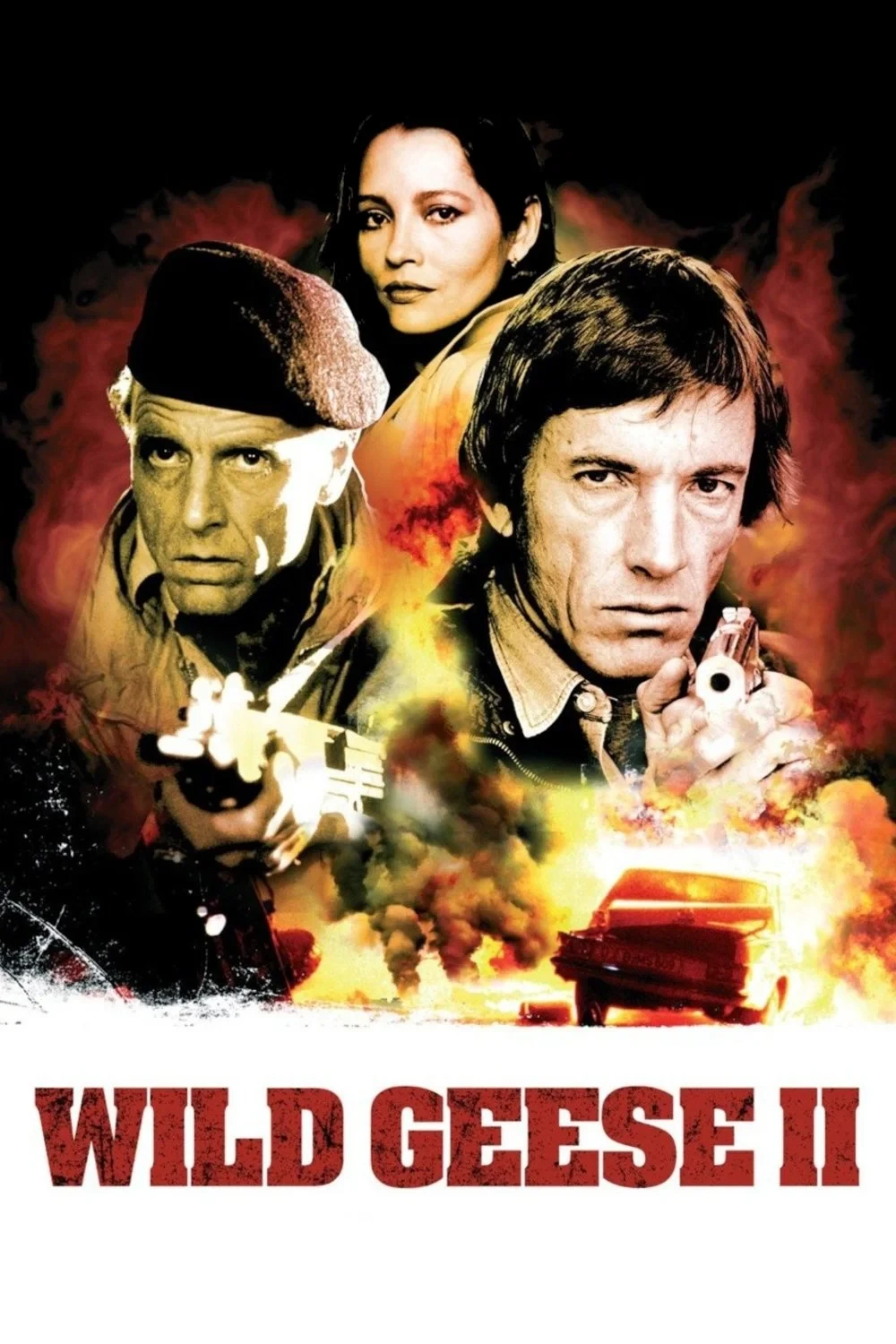 Постер фильма Дикие гуси 2
