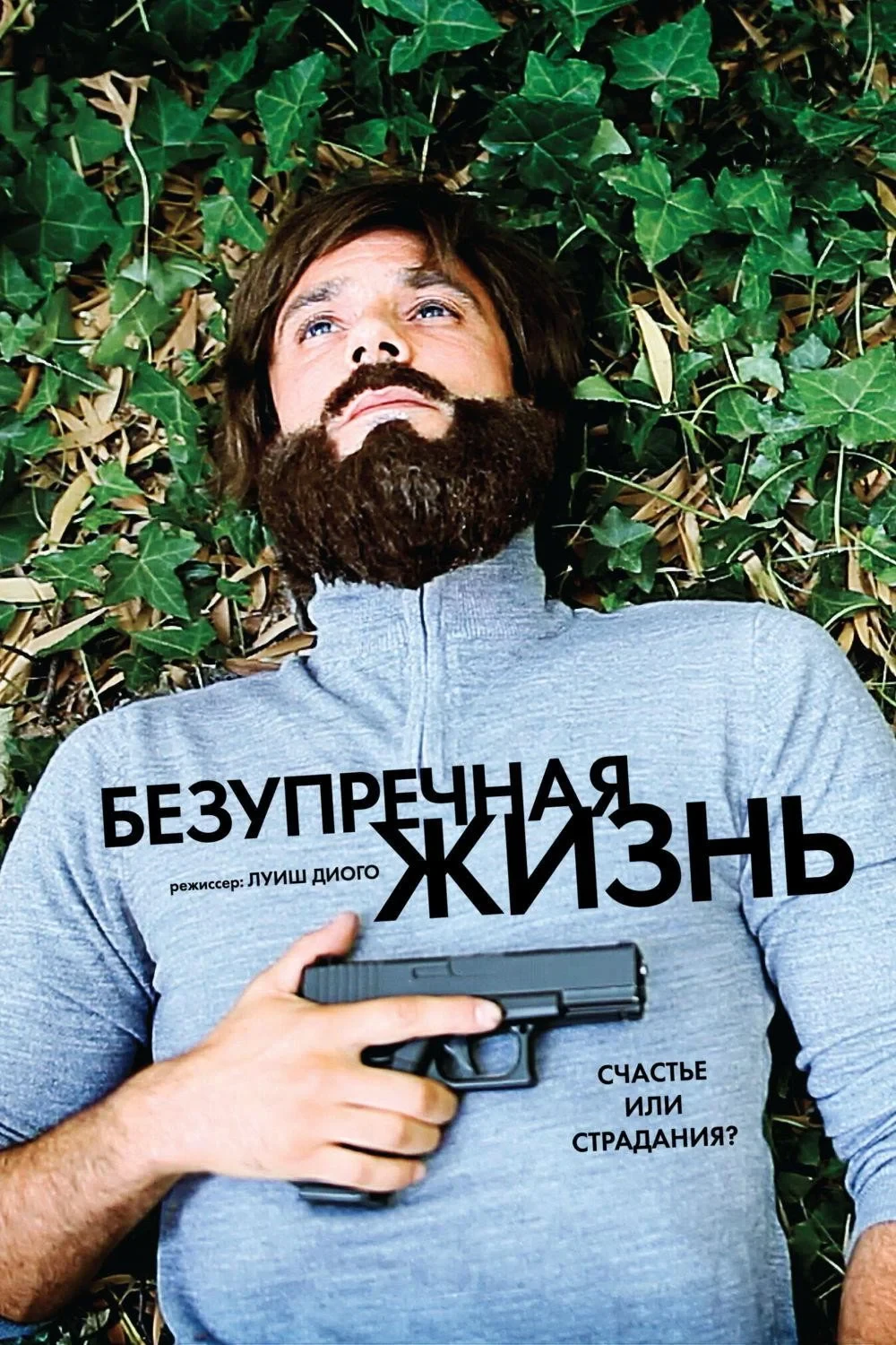 Постер фильма Безупречная жизнь