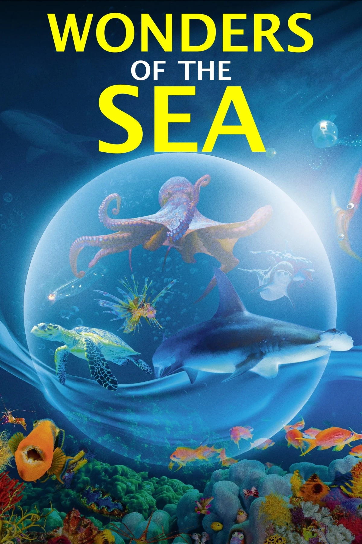 Постер фильма Чудеса моря 3D