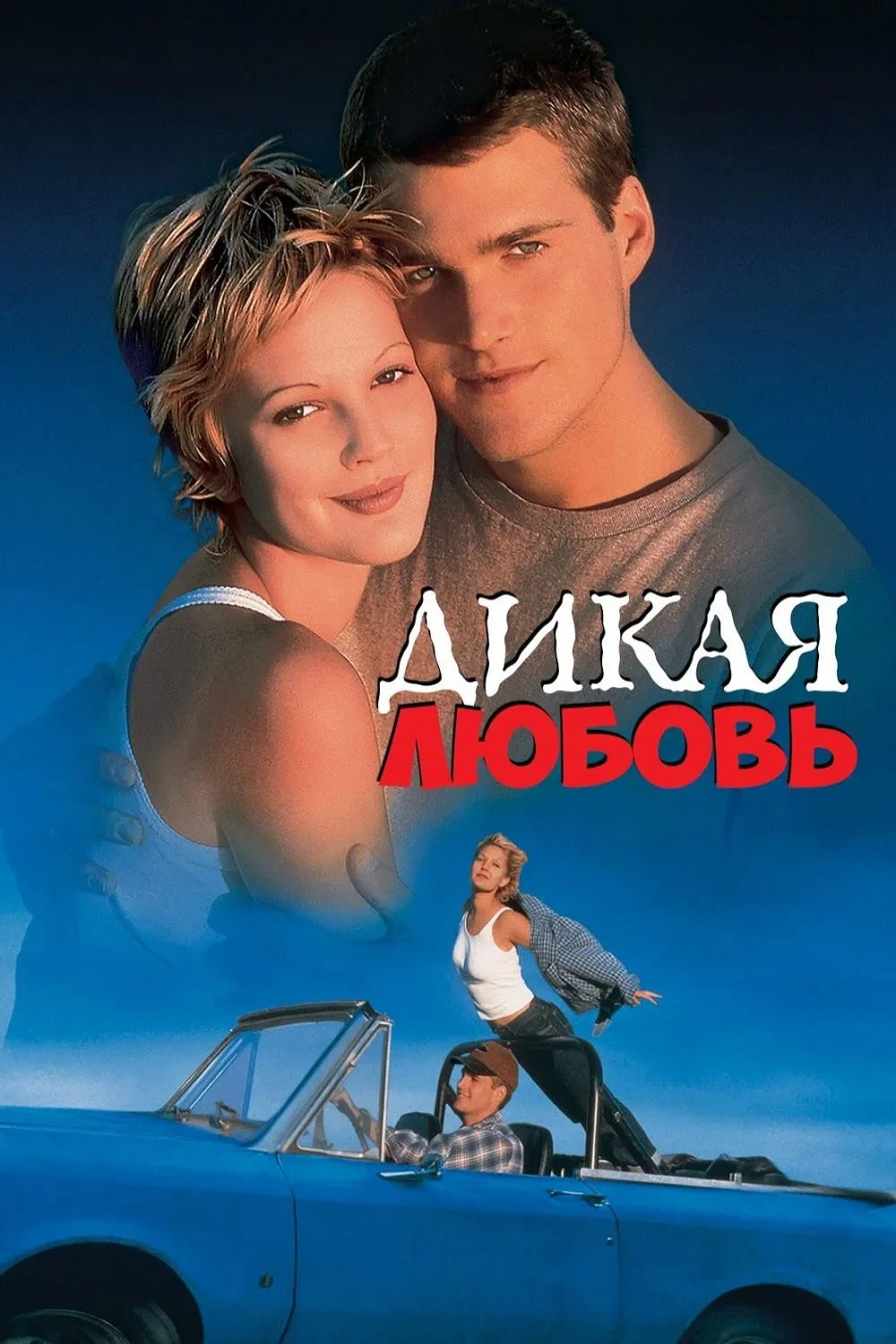 Постер фильма Дикая любовь