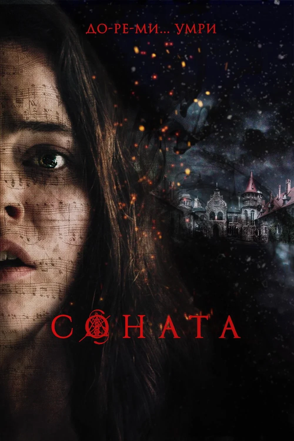 Постер фильма Соната