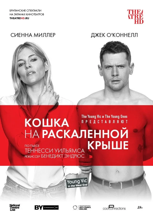 Постер фильма Кошка на раскалённой крыше