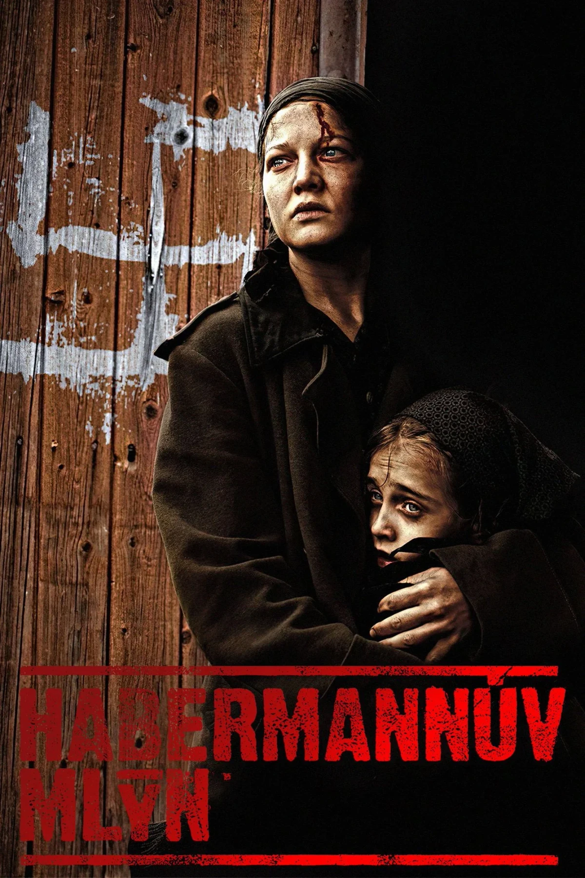 Постер фильма Хаберманн