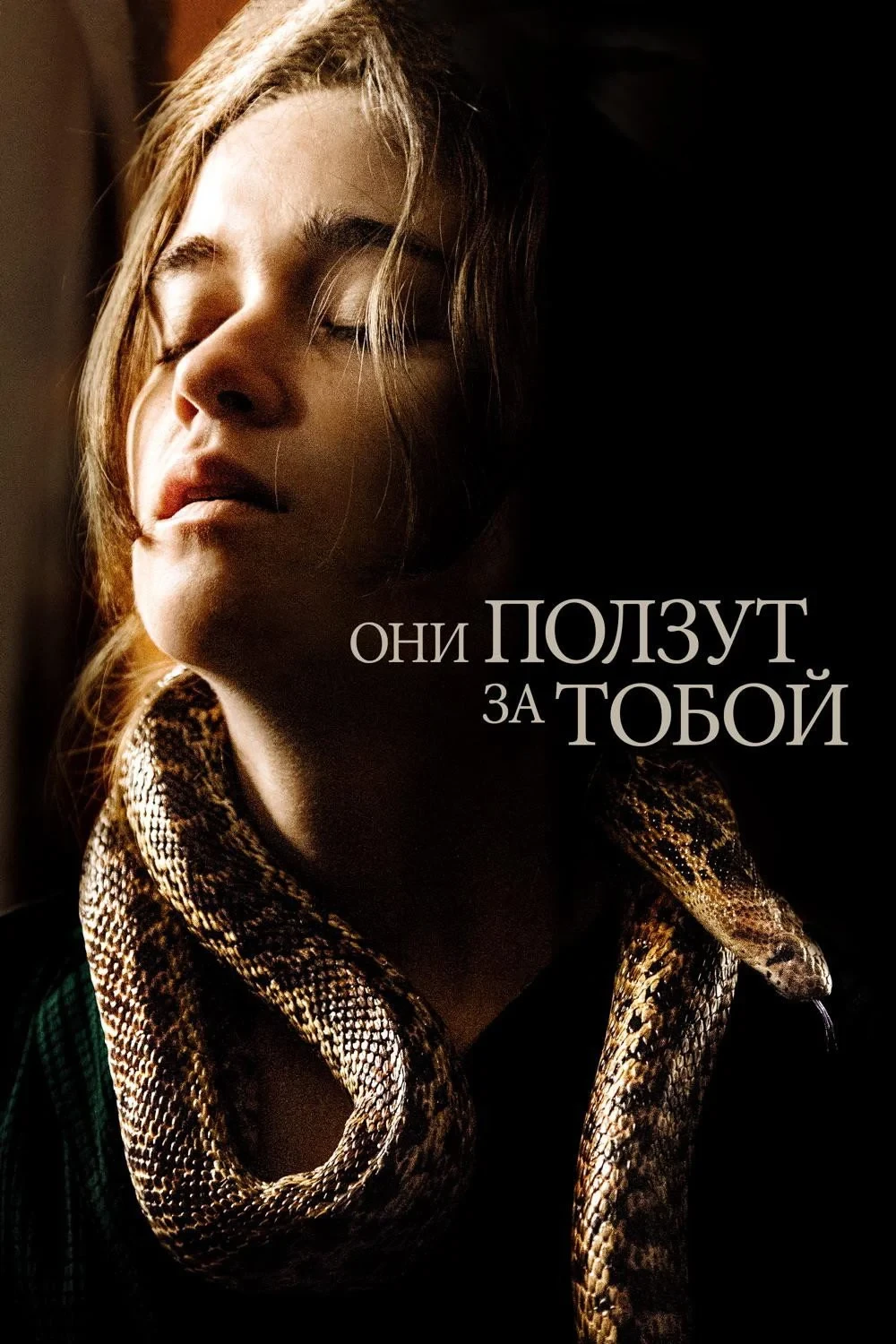Постер фильма Они ползут за тобой