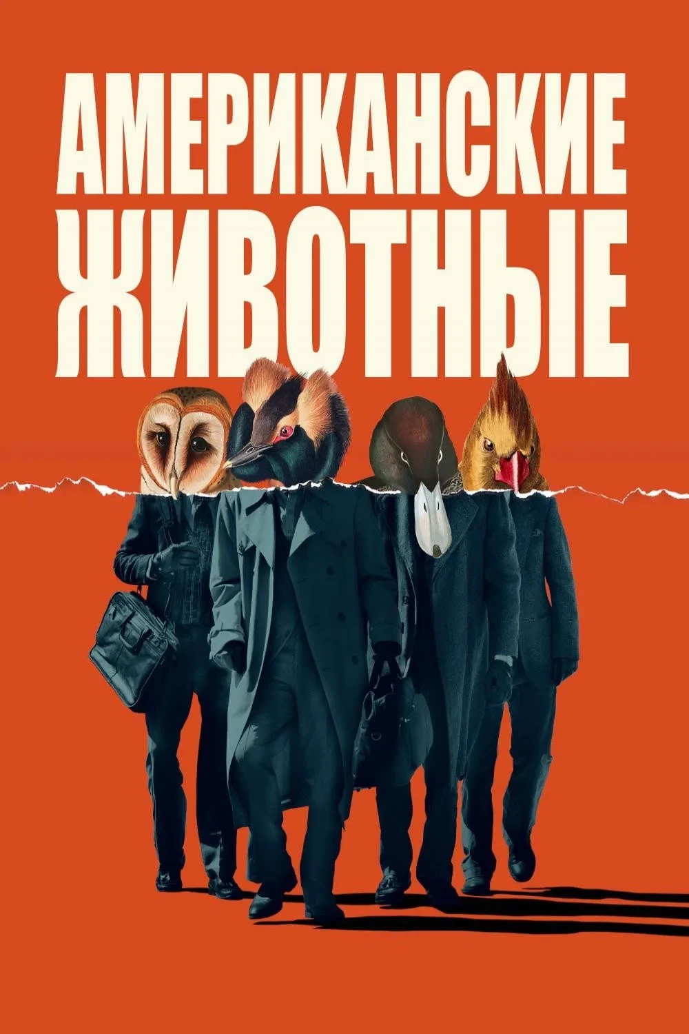 Постер фильма Американские животные