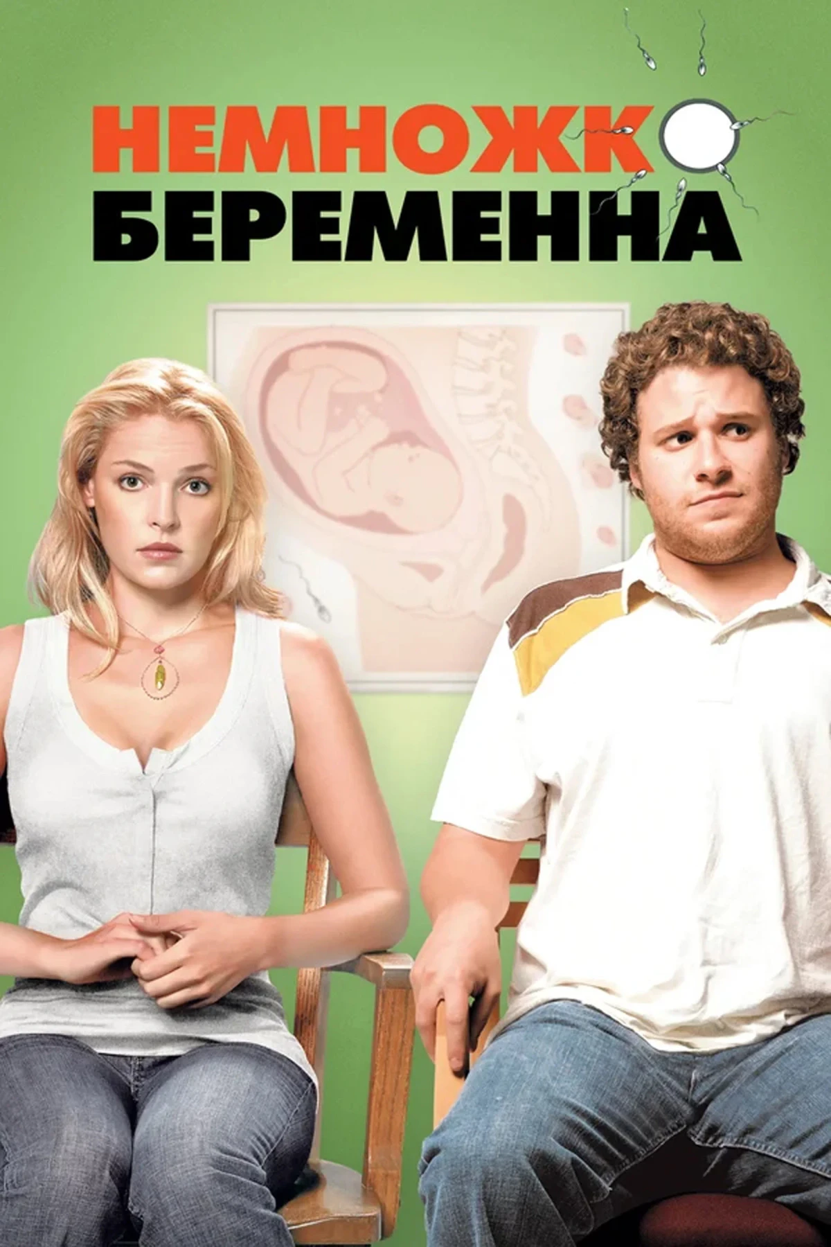 Постер фильма Немножко беременна