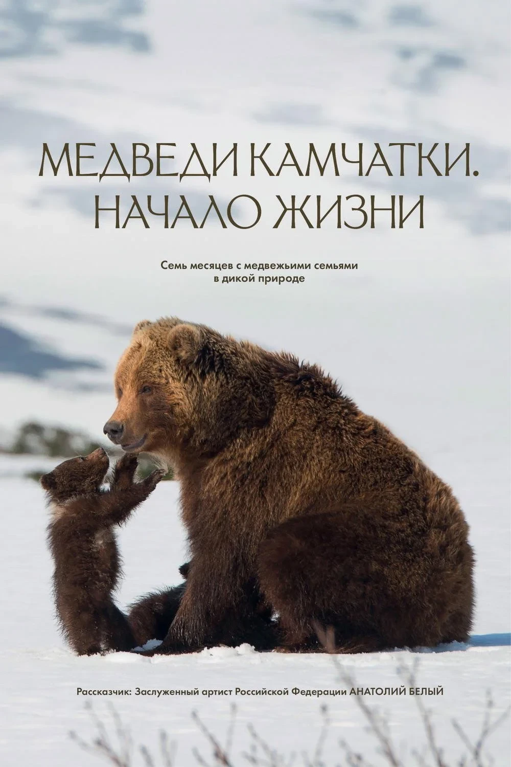 Постер фильма Медведи Камчатки. Начало жизни