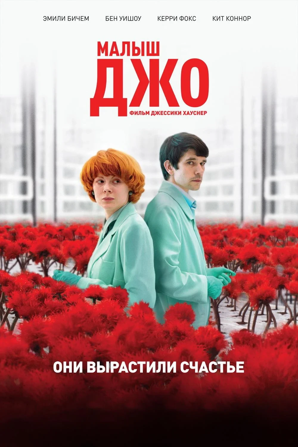 Постер фильма Малыш Джо