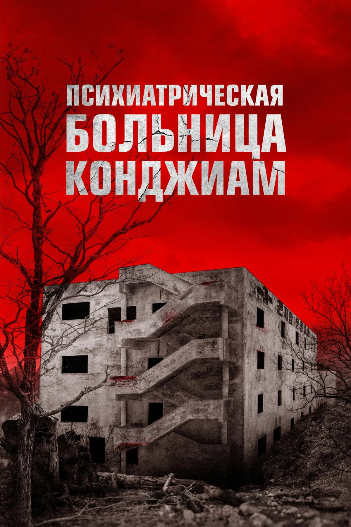 Постер фильма Психиатрическая больница Конджиам