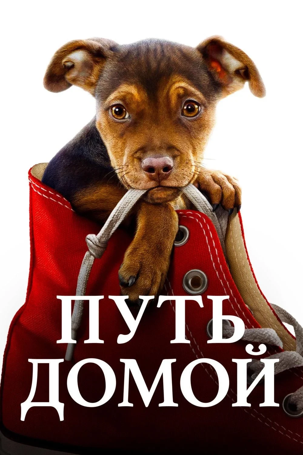 Постер фильма Путь домой