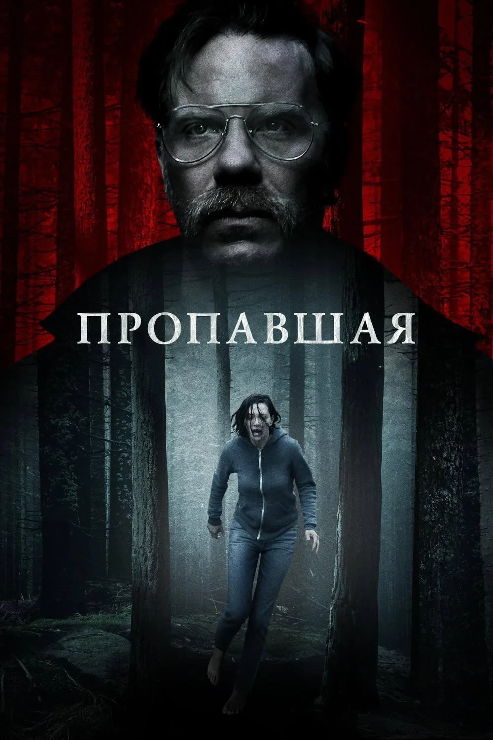 Постер фильма Пропавшая