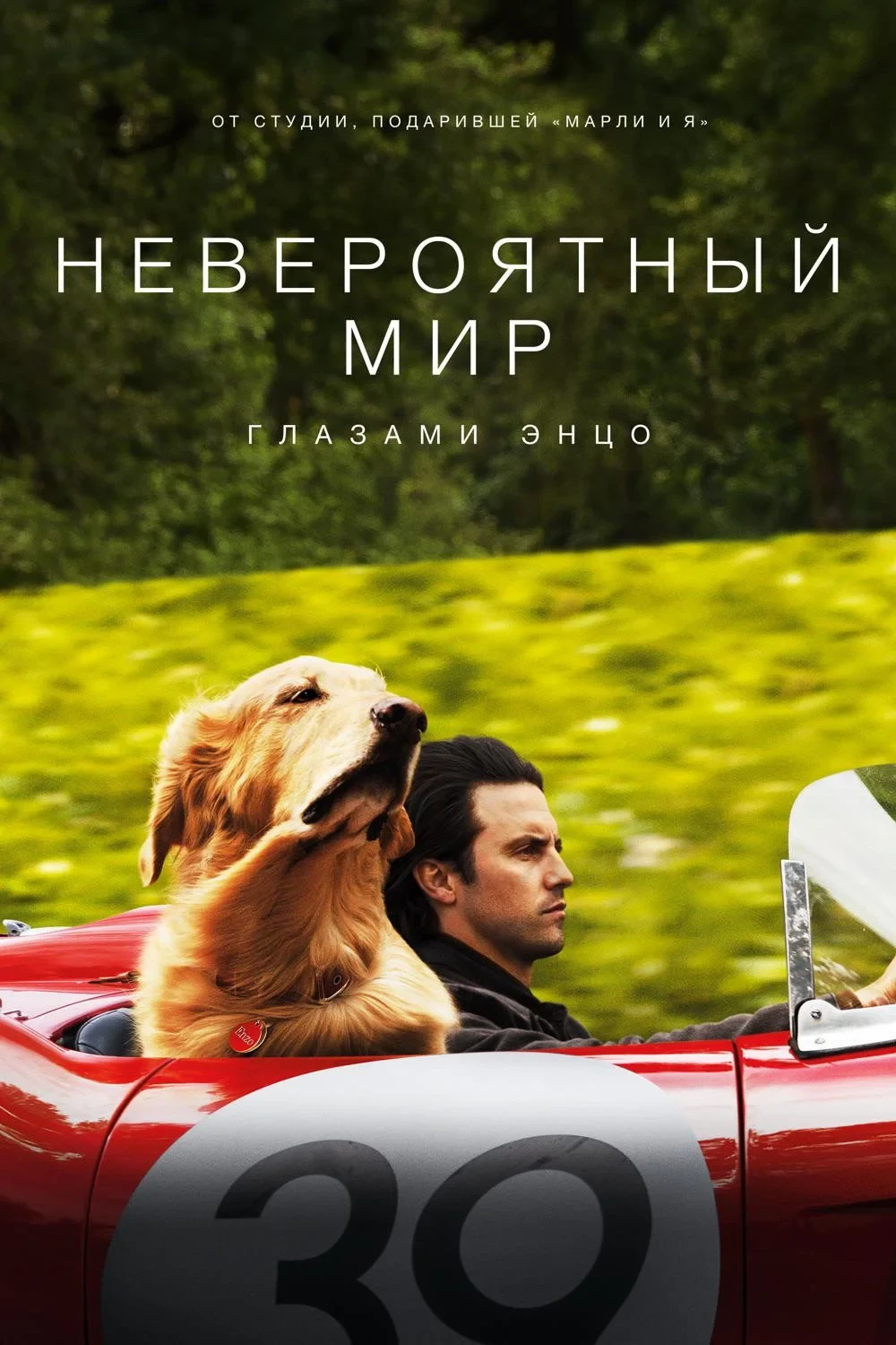 Постер фильма Невероятный мир глазами Энцо