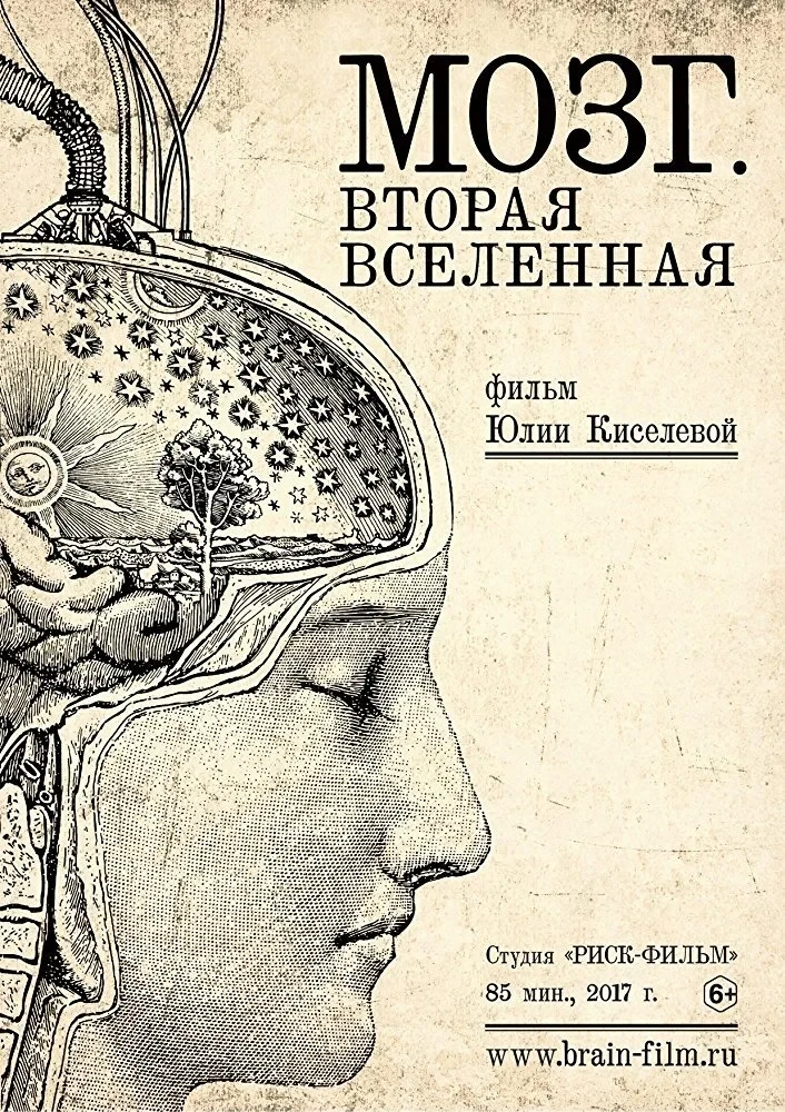 Постер фильма Мозг. Вторая Вселенная
