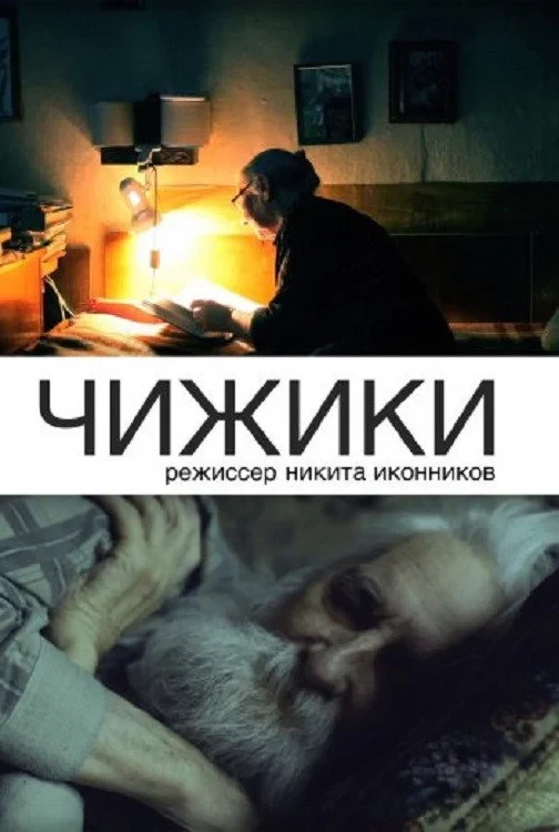 Постер фильма Чижики
