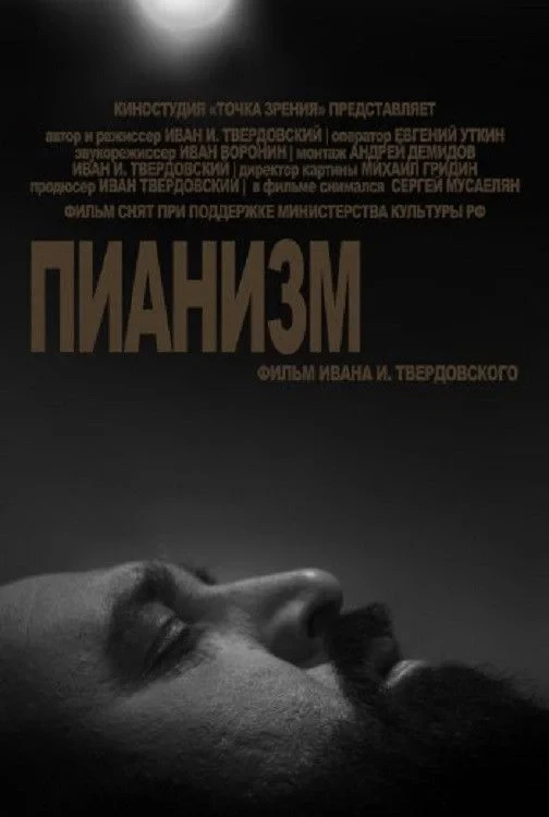 Постер фильма Пианизм