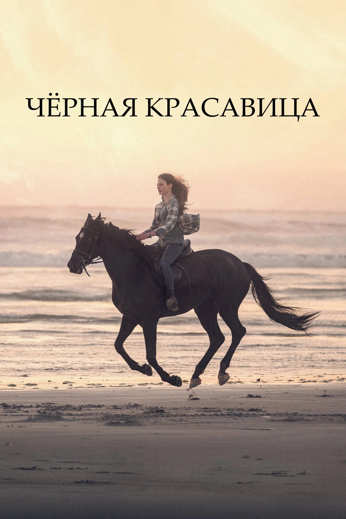 Постер фильма Чёрная красавица