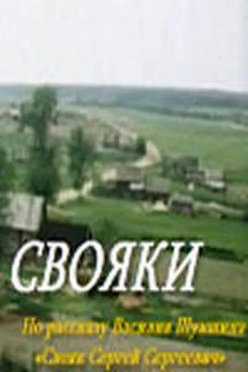 Постер фильма Свояки
