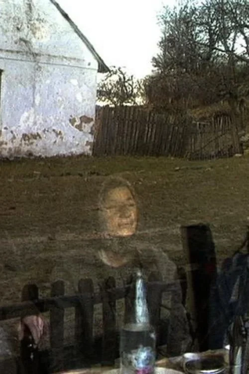 Постер фильма Линденфельд 1994