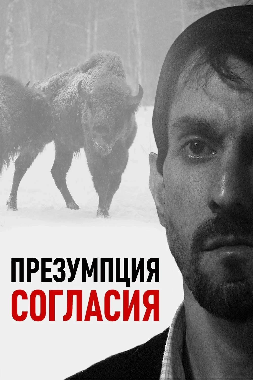 Постер фильма Презумпция согласия