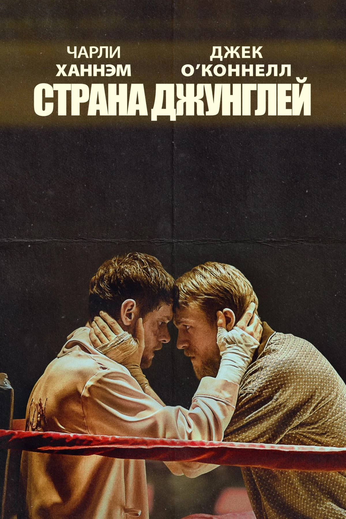 Постер фильма Страна джунглей