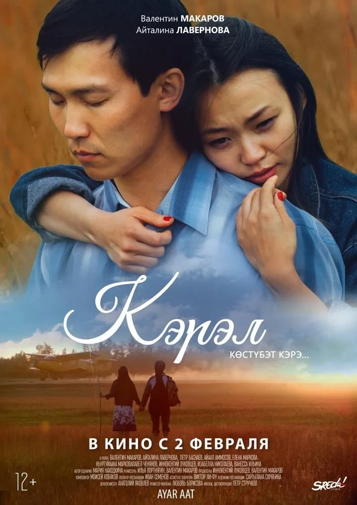 Постер фильма Кэрэл. Невидимая красота