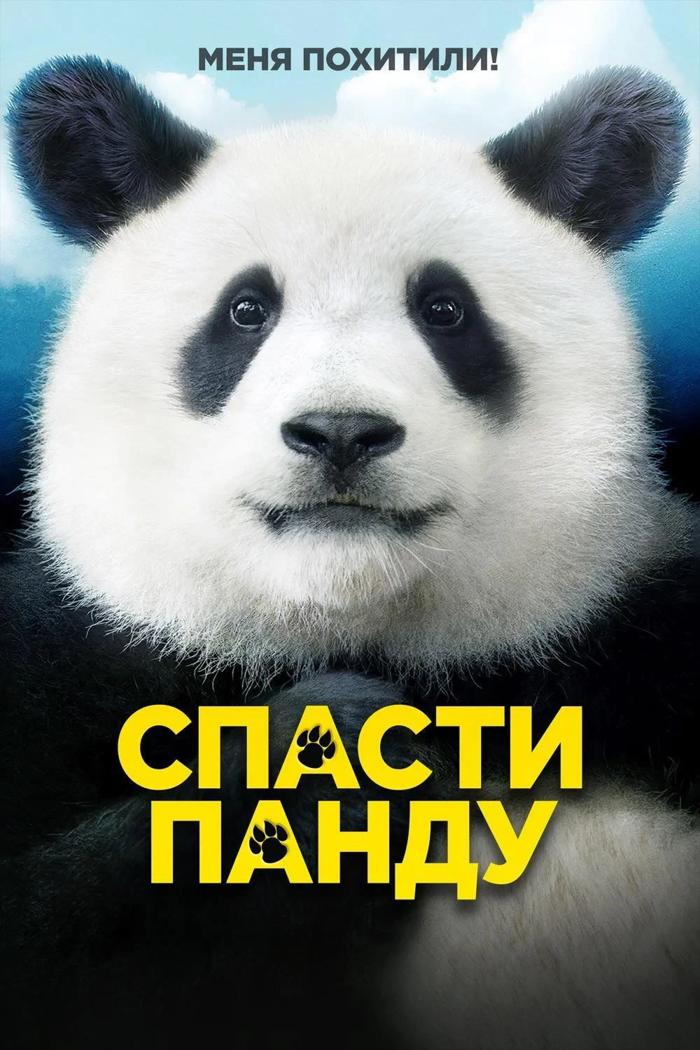 Постер фильма Спасти панду