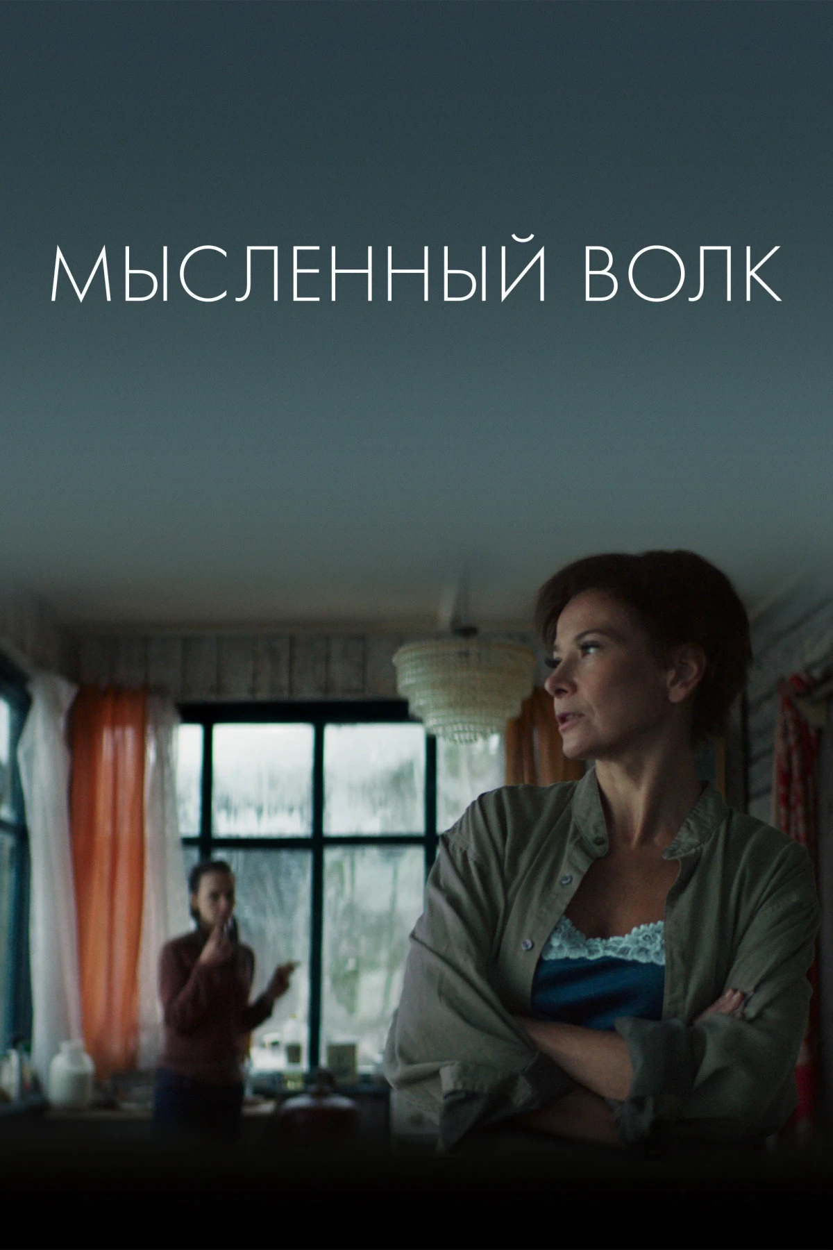 Постер фильма Мысленный волк