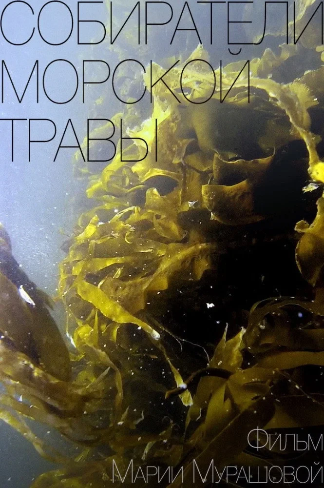 Постер фильма Собиратели морской травы
