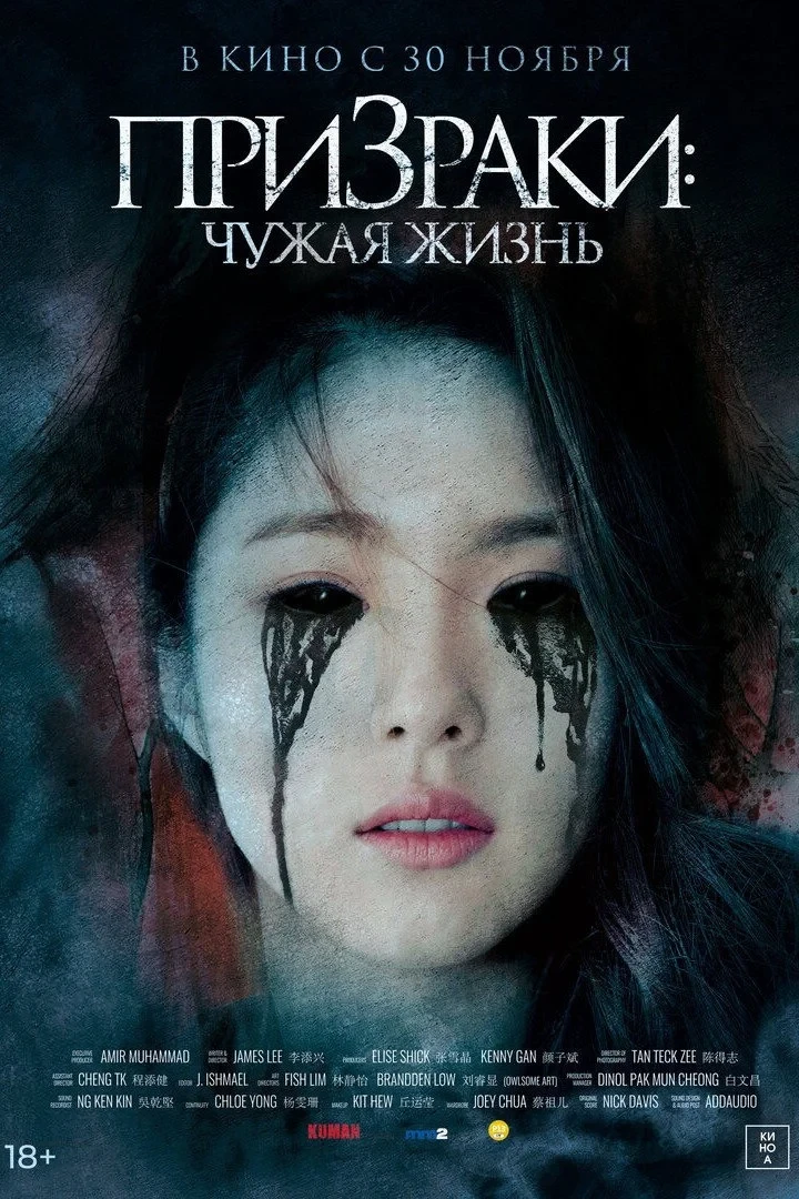 Постер фильма Призраки: Чужая жизнь