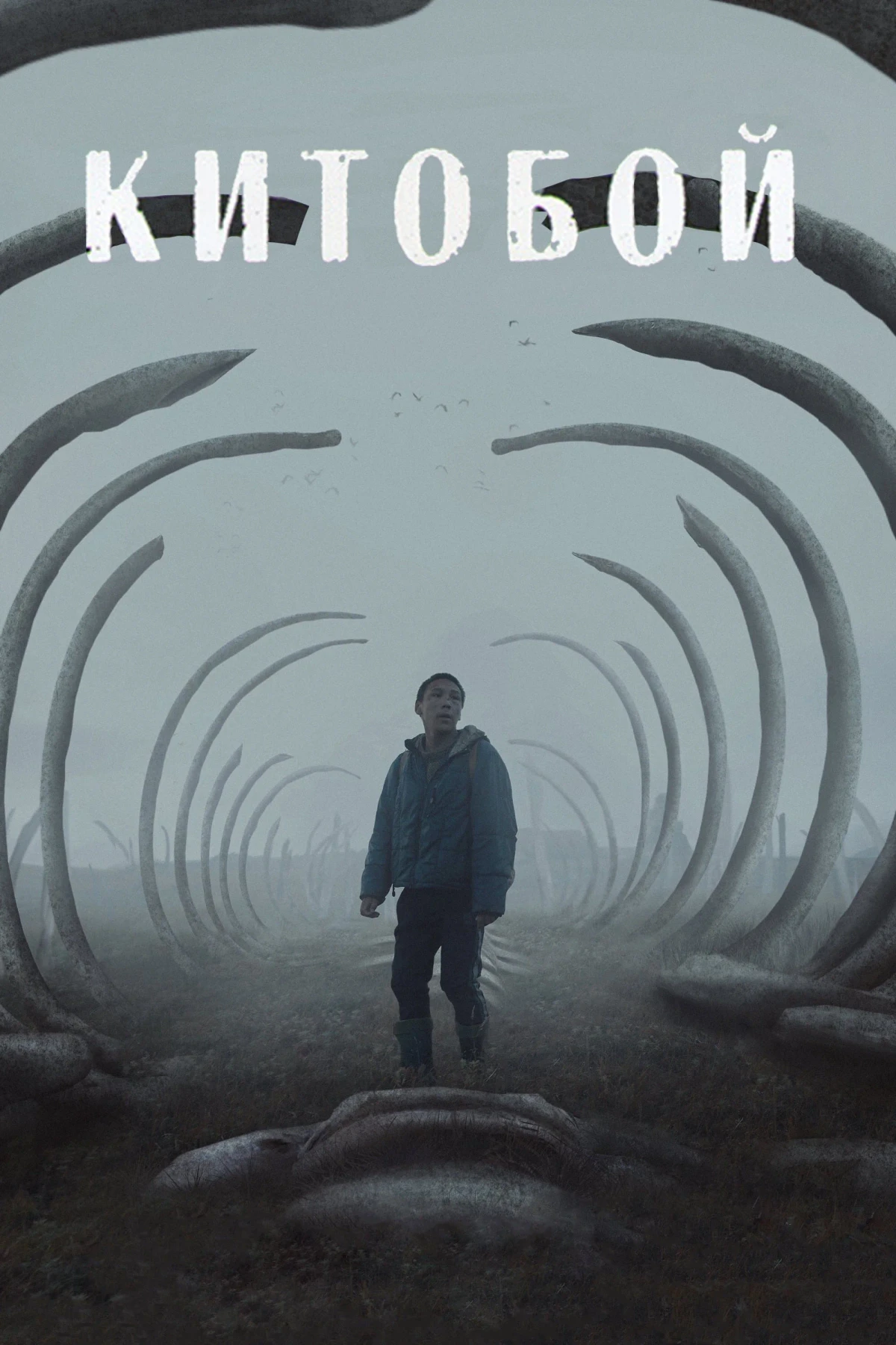 Постер фильма Китобой