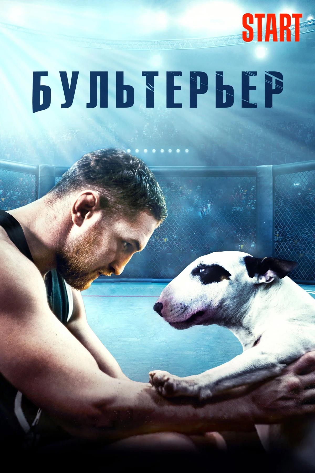 Постер фильма Бультерьер