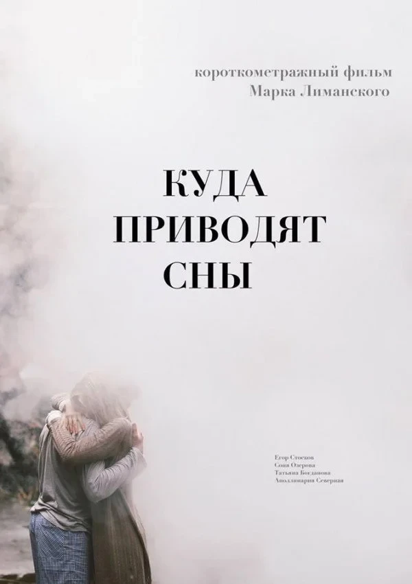 Постер фильма Куда приводят сны