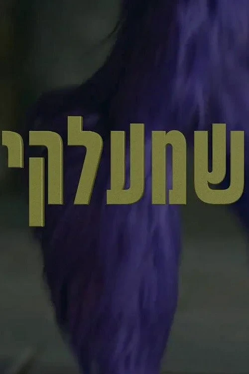Постер фильма Шмелки