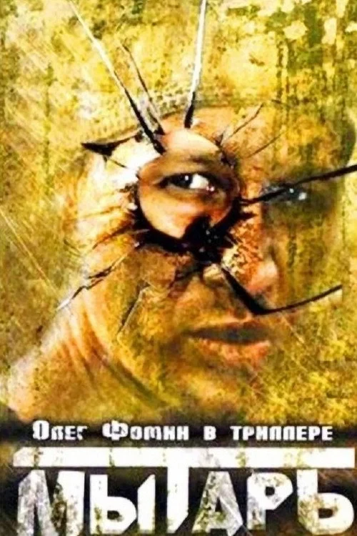 Постер фильма Мытарь