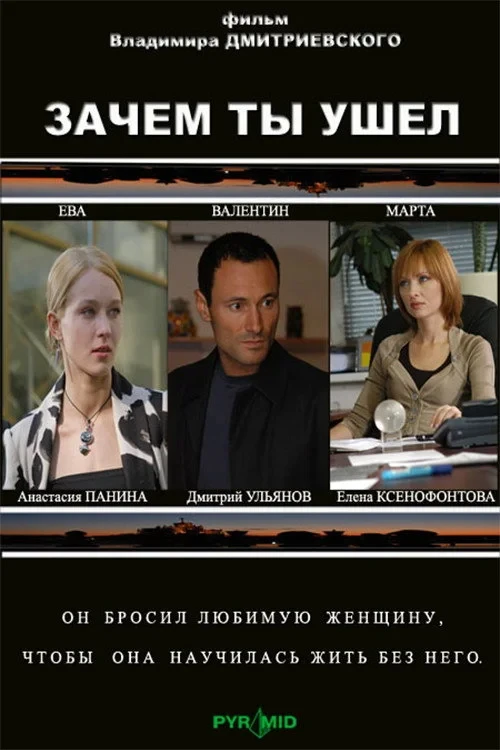 Постер фильма Зачем ты ушел?