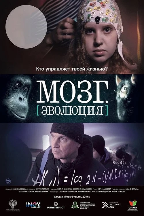 Постер фильма Мозг. Эволюция