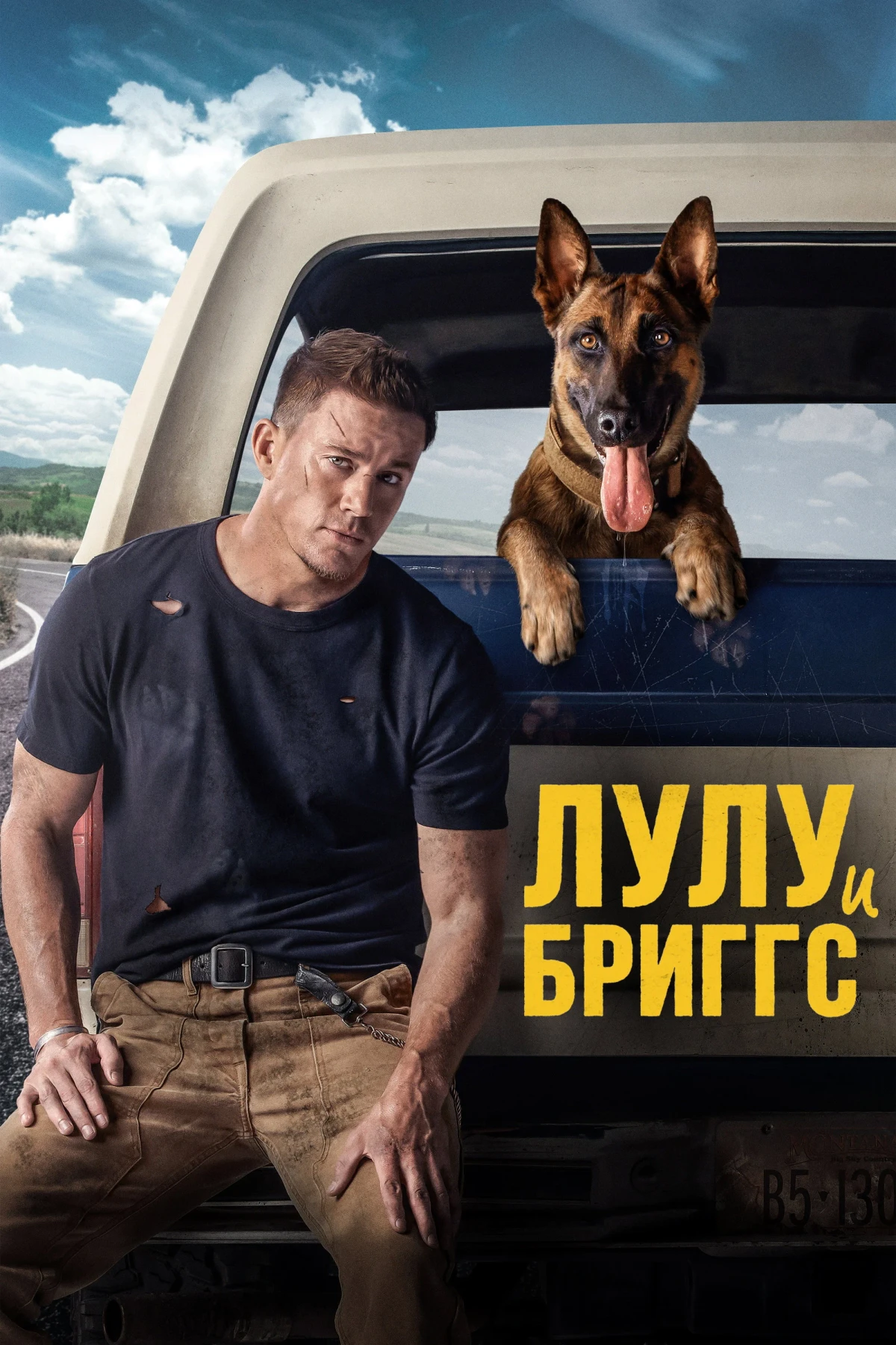 Постер фильма Лулу и Бриггс