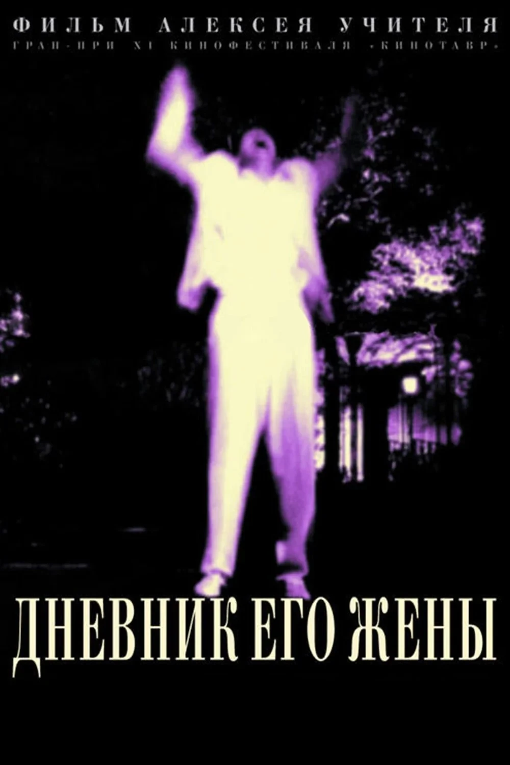 Постер фильма Дневник его жены