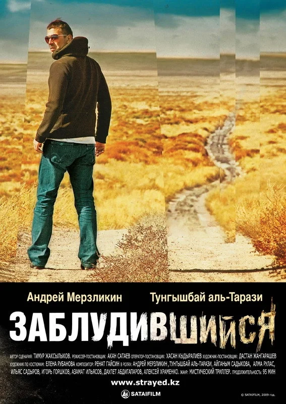 Постер фильма Заблудившийся