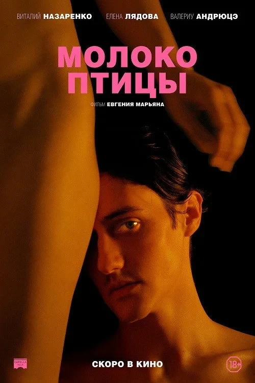 Постер фильма Молоко птицы