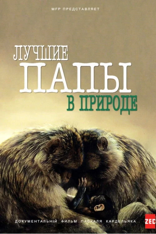 Постер фильма Лучшие папы в природе