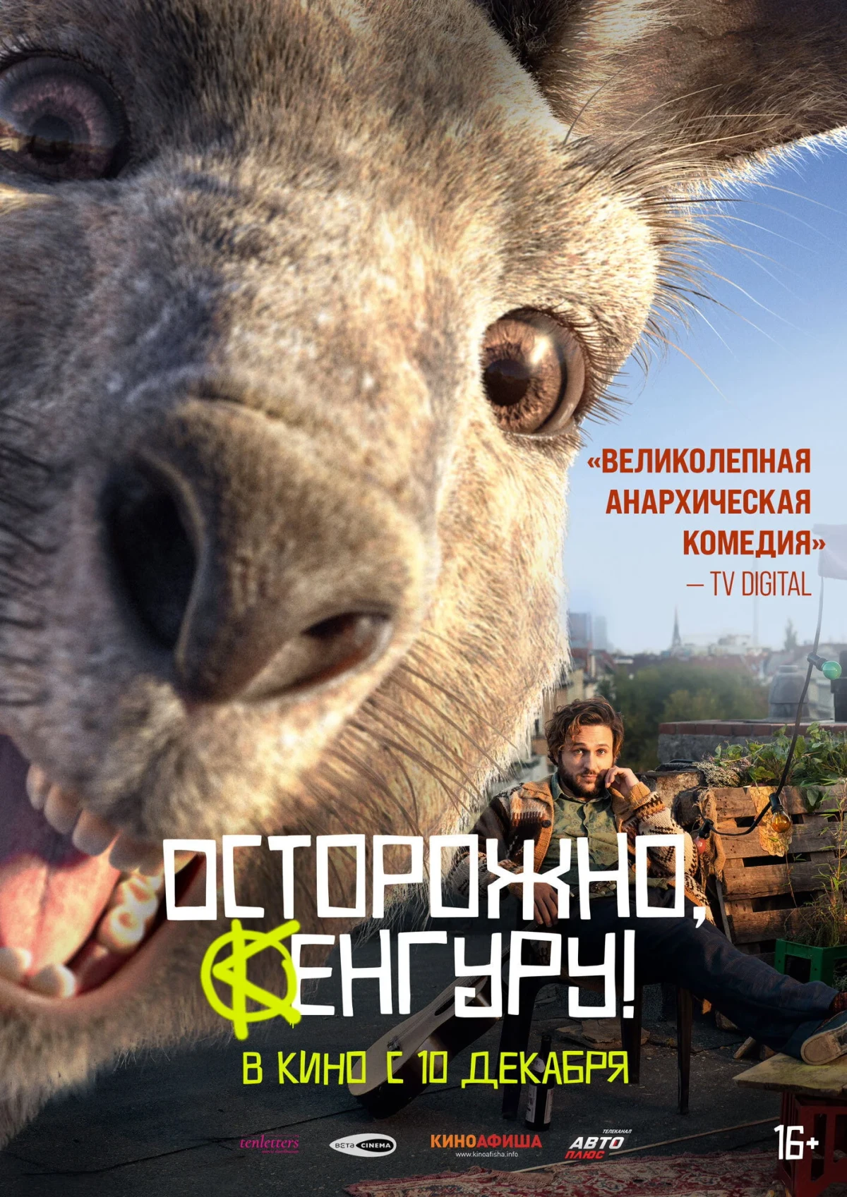 Постер фильма Осторожно, Кенгуру!