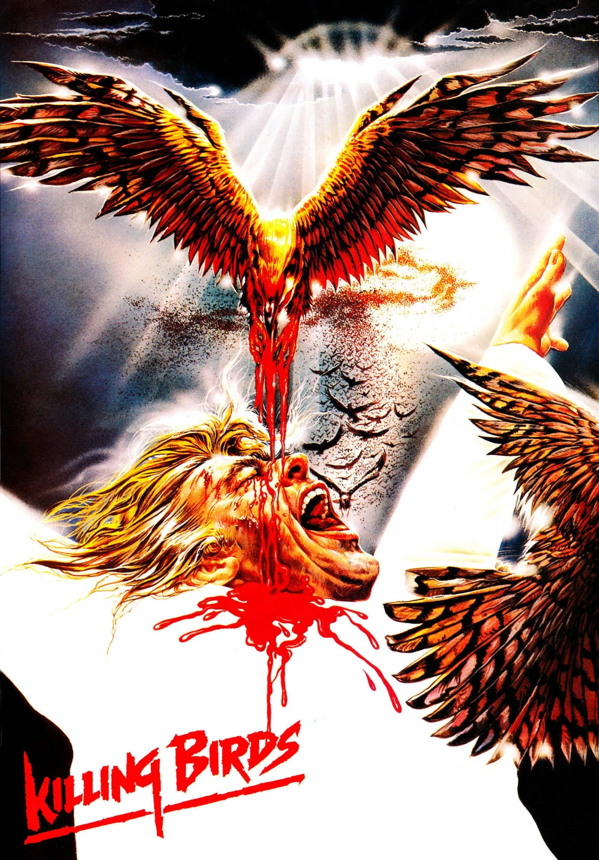 Постер фильма Зомби 5: Смертоносные птицы