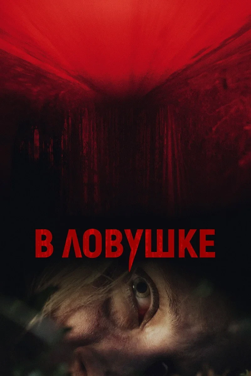 Постер фильма В ловушке