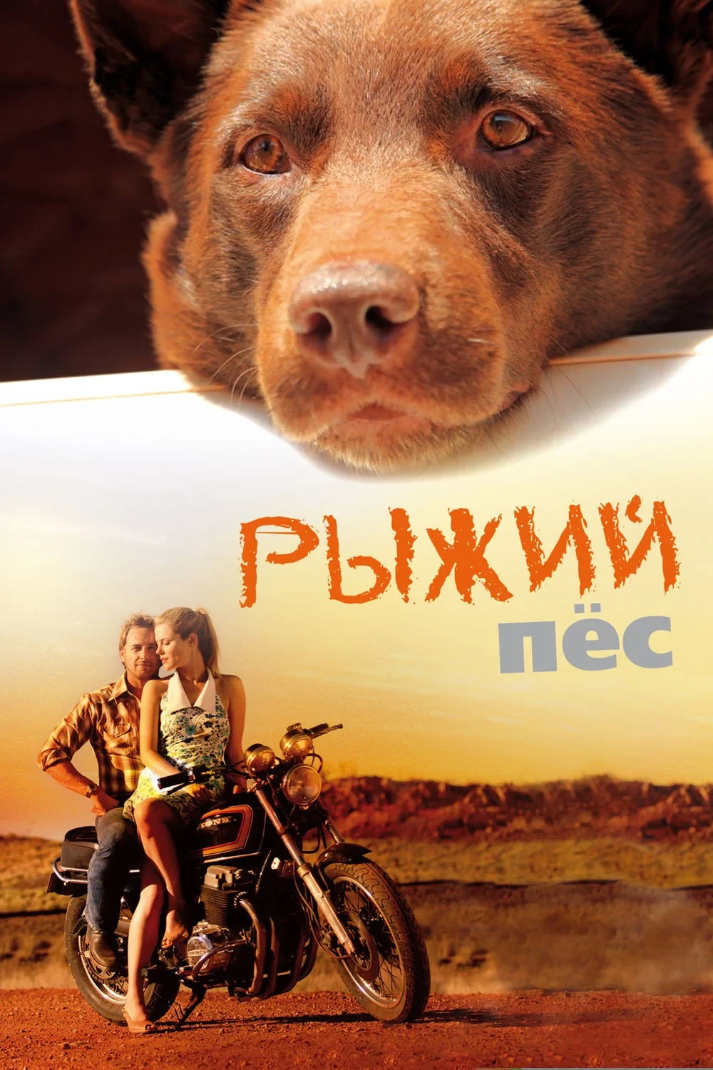 Постер фильма Рыжий пёс