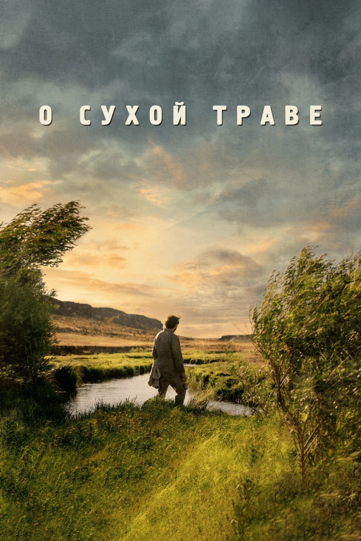 Постер фильма О сухой траве