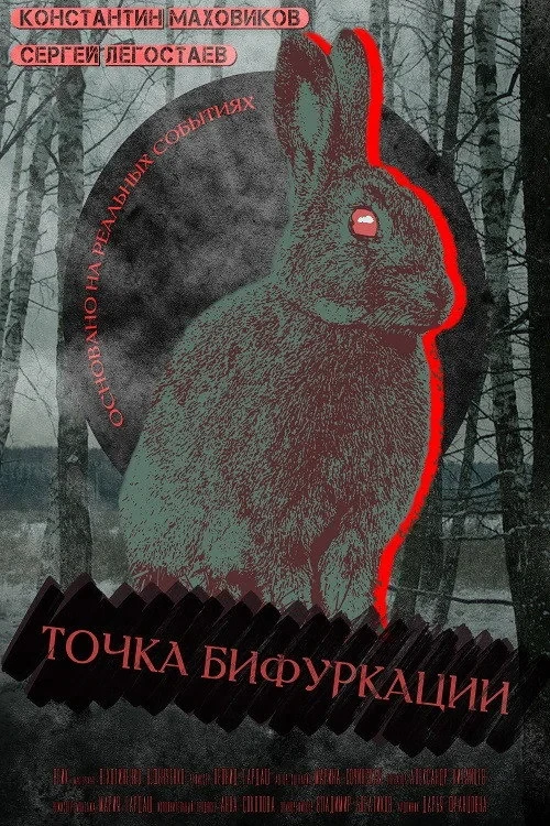 Постер фильма Точка бифуркации